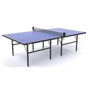 Indoor Table Tennis board